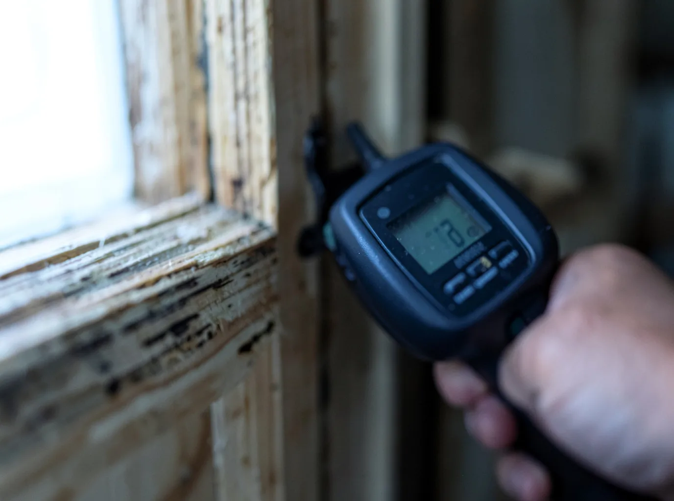 Commercial Water Damage Restoration in Larkspur, CA